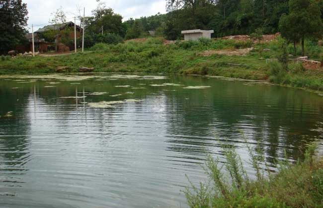 1697179584316431.jpeg 2f4911015b51e3466494af74be33cff7.jpeg