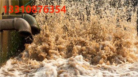 1709110786636004.png southeast.png